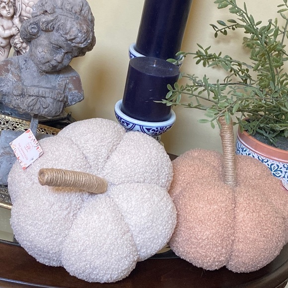 NEW! Fall Harvest FARMHOUSE Cottage Sherpa Peach & Cream Autumn Pumpkin Pillow - Picture 3 of 11